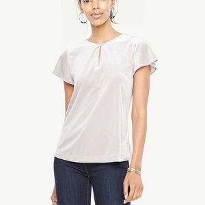 Ann Taylor velvet silver blouse